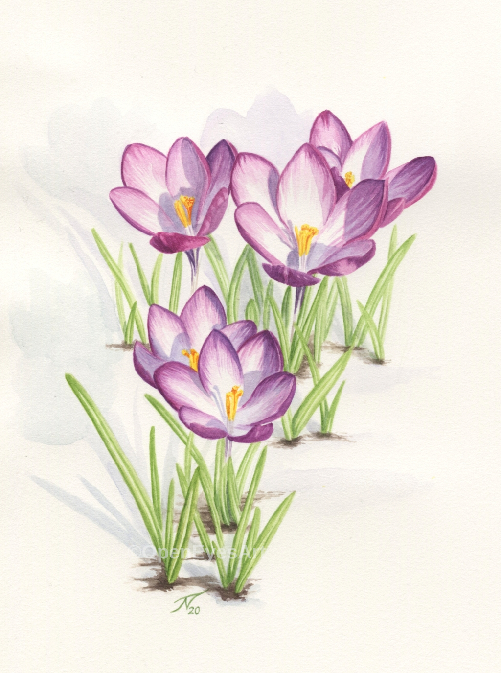 painting of pink crocuses