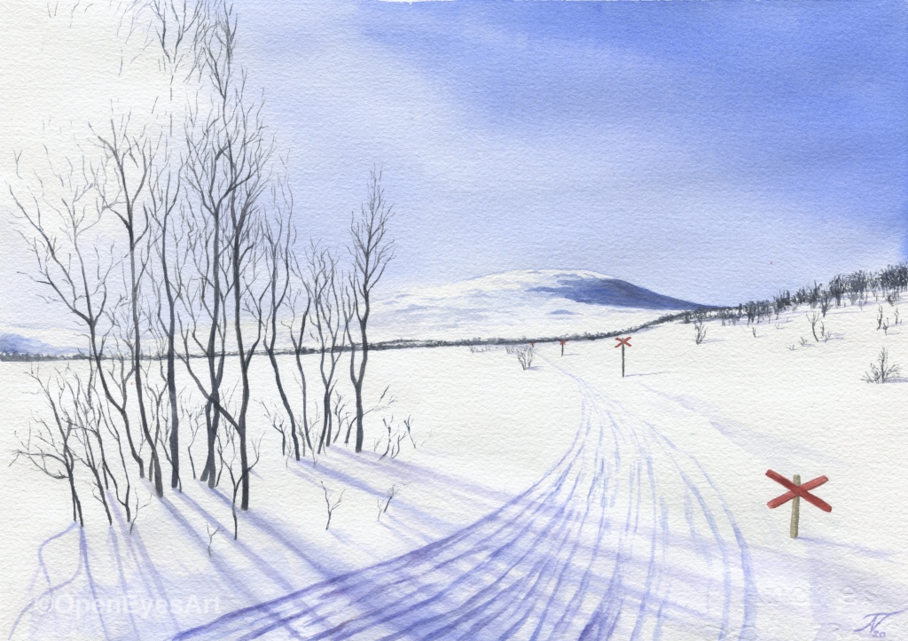 Snowy landscape