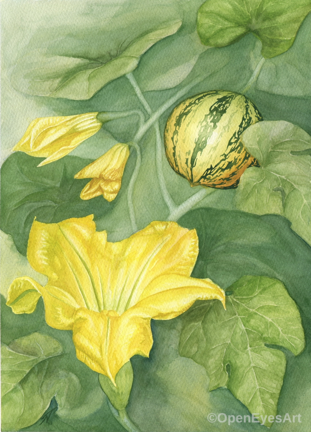 painting of pumpkin flowers